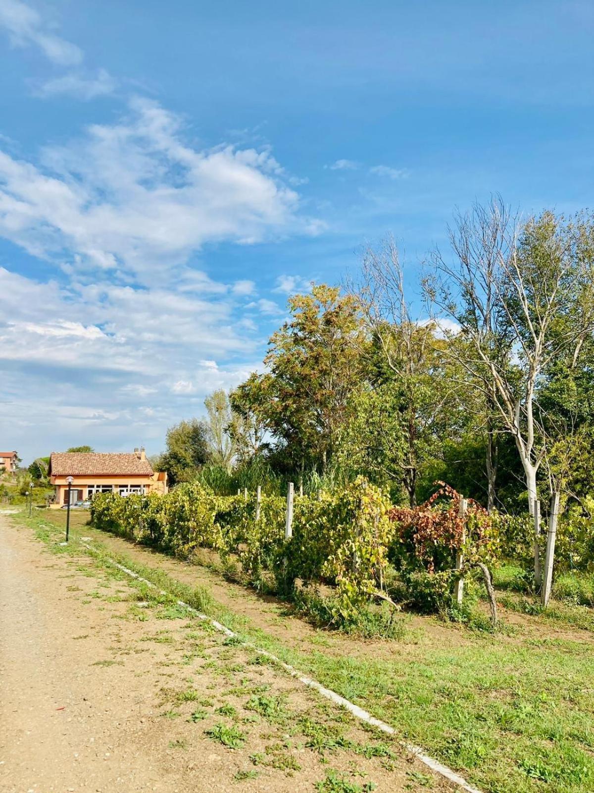 Villa Bubu, Appartamento Country-Chic Рим Экстерьер фото