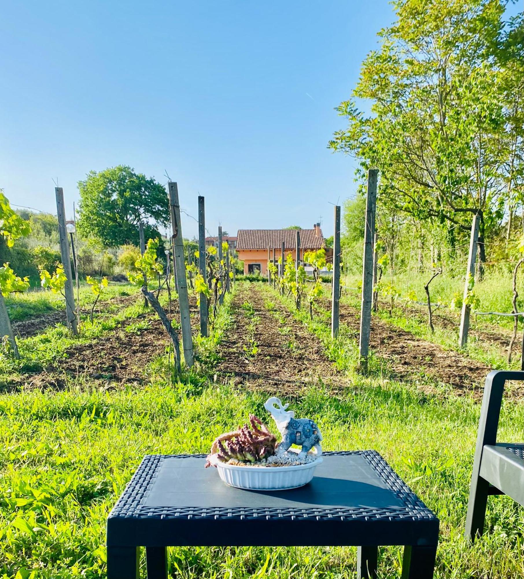 Villa Bubu, Appartamento Country-Chic Рим Экстерьер фото