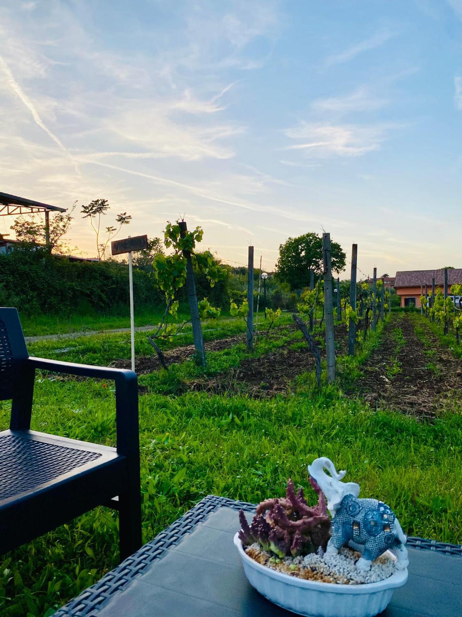 Villa Bubu, Appartamento Country-Chic Рим Экстерьер фото